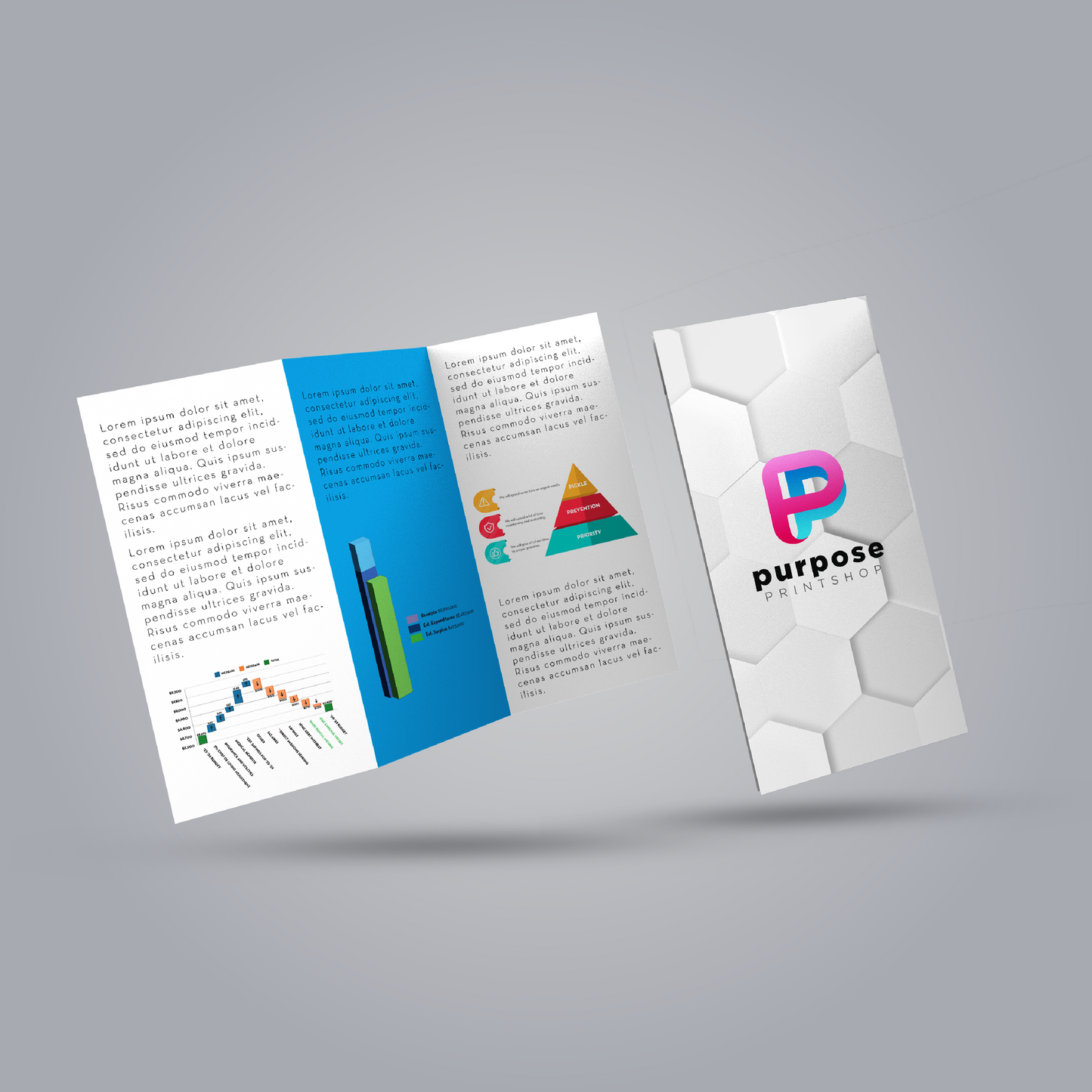 Trifold Brochures